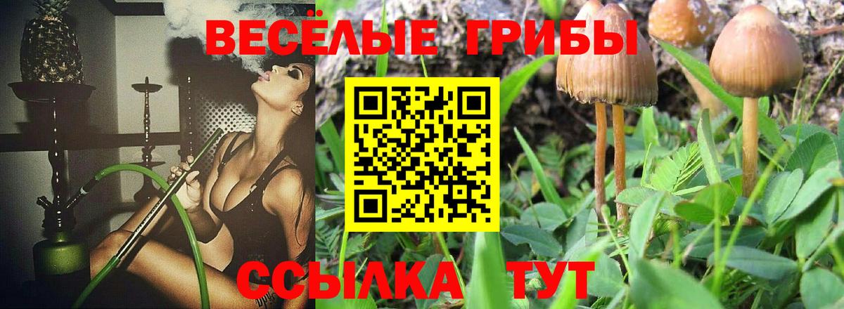 Псилоцибиновые грибы Magic Shrooms Еманжелинск