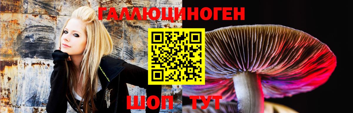 Галлюциногенные грибы MAGIC MUSHROOMS  Вход с VPN  Еманжелинск 